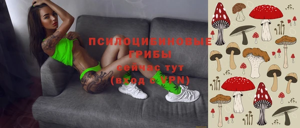 твердый Карталы