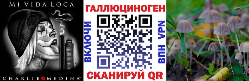 Галлюциногенные грибы Psilocybe  Купить где  Октябрьск 